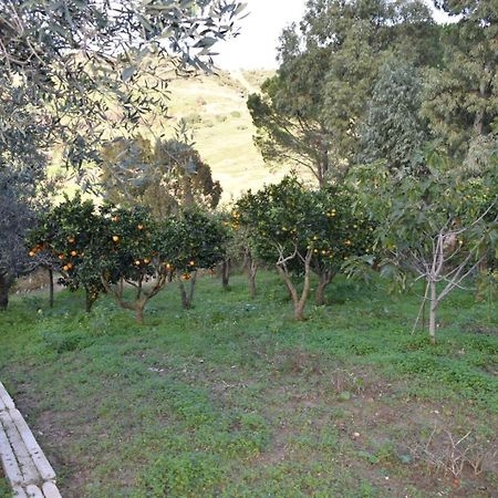 شقة كالاتافيمي  في La Casetta Nel Bosco المظهر الخارجي الصورة