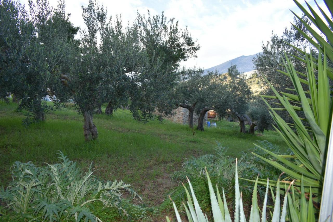 شقة كالاتافيمي  في La Casetta Nel Bosco المظهر الخارجي الصورة